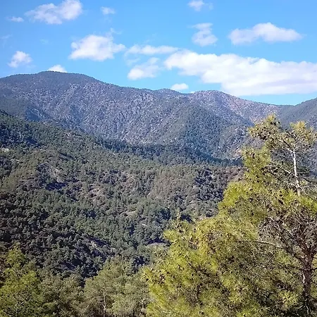 Anastasi Tiny Homes- Mountain Views, Garden & Terrace, Pet Friendly