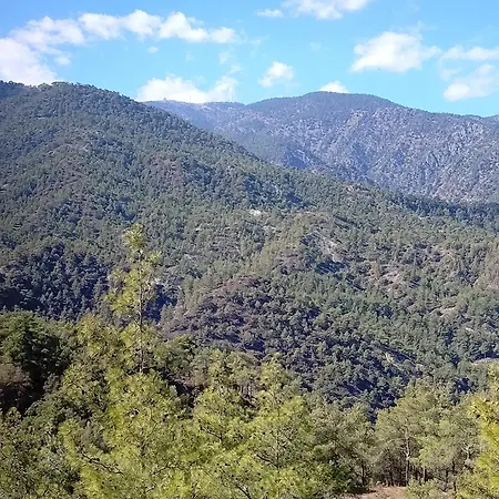 Anastasi Tiny Homes- Mountain Views, Garden & Terrace, Pet Friendly Lodge