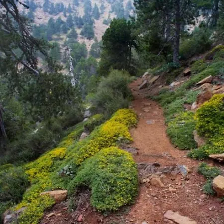 Anastasi Tiny Homes- Mountain Views, Garden & Terrace, Pet Friendly *