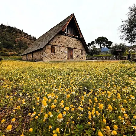 Anastasi Tiny Homes- Mountain Views, Garden & Terrace, Pet Friendly Lodge
