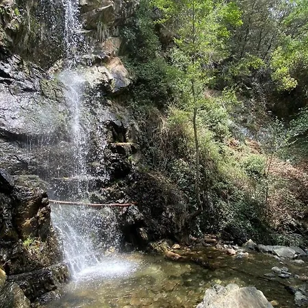 Anastasi Tiny Homes- Mountain Views, Garden & Terrace, Pet Friendly *