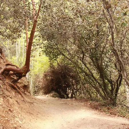 Anastasi Tiny Homes- Mountain Views, Garden & Terrace, Pet Friendly