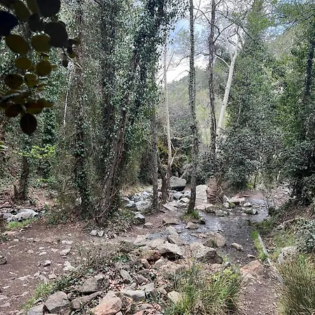 Lodge Anastasi Tiny Homes- Mountain Views, Garden & Terrace, Pet Friendly