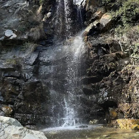 Lodge Anastasi Tiny Homes- Mountain Views, Garden & Terrace, Pet Friendly Kakopetria