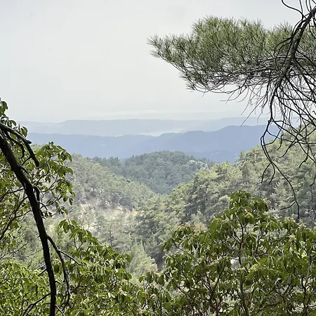 Anastasi Tiny Homes- Mountain Views, Garden & Terrace, Pet Friendly * Kakopetria