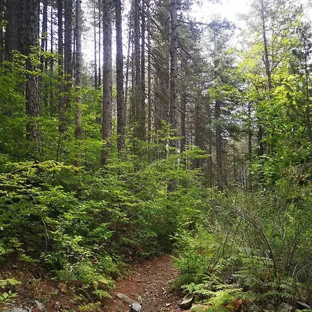 Anastasi Tiny Homes- Mountain Views, Garden & Terrace, Pet Friendly Kakopetria