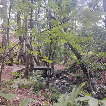 Anastasi Tiny Homes- Mountain Views, Garden & Terrace, Pet Friendly * Kakopetria