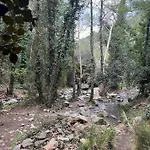 Деревянный коттедж Anastasi Tiny Homes- Mountain Views, Garden & Terrace, Pet Friendly
