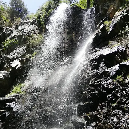 Anastasi Tiny Homes- Mountain Views, Garden & Terrace, Pet Friendly Orman Evi *