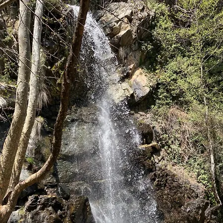 Anastasi Tiny Homes- Mountain Views, Garden & Terrace, Pet Friendly Orman Evi