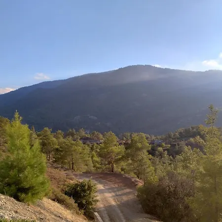 Anastasi Tiny Homes- Mountain Views, Garden & Terrace, Pet Friendly Orman Evi