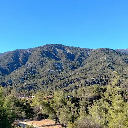 Anastasi Tiny Homes- Mountain Views, Garden & Terrace, Pet Friendly *