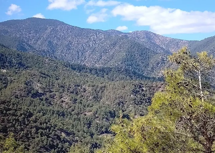 Anastasi Tiny Homes- Mountain Views, Garden & Terrace, Pet Friendly