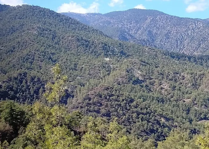 Anastasi Tiny Homes- Mountain Views, Garden & Terrace, Pet Friendly Alojamento de Turismo Selvagem