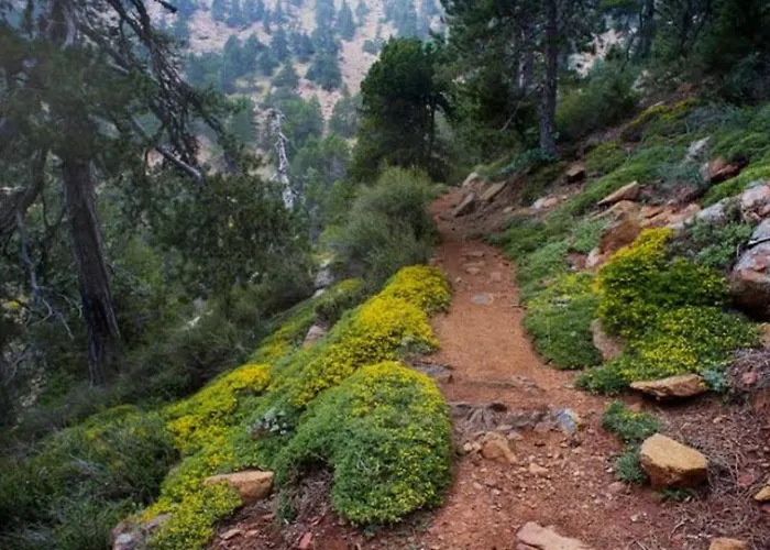 Anastasi Tiny Homes- Mountain Views, Garden & Terrace, Pet Friendly *