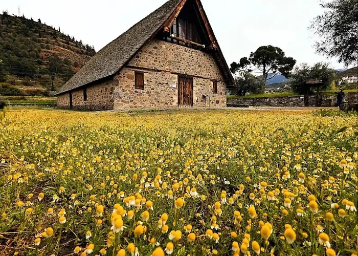 Anastasi Tiny Homes- Mountain Views, Garden & Terrace, Pet Friendly Alojamento de Turismo Selvagem