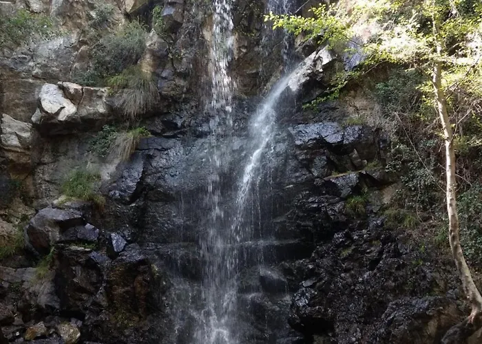 Anastasi Tiny Homes- Mountain Views, Garden & Terrace, Pet Friendly