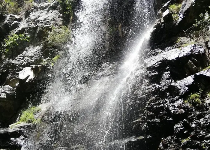 Anastasi Tiny Homes- Mountain Views, Garden & Terrace, Pet Friendly Lodge *