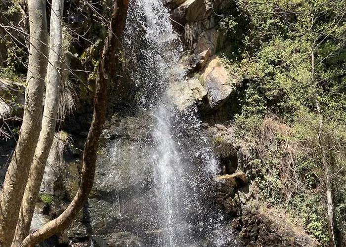 Anastasi Tiny Homes- Mountain Views, Garden & Terrace, Pet Friendly Lodge