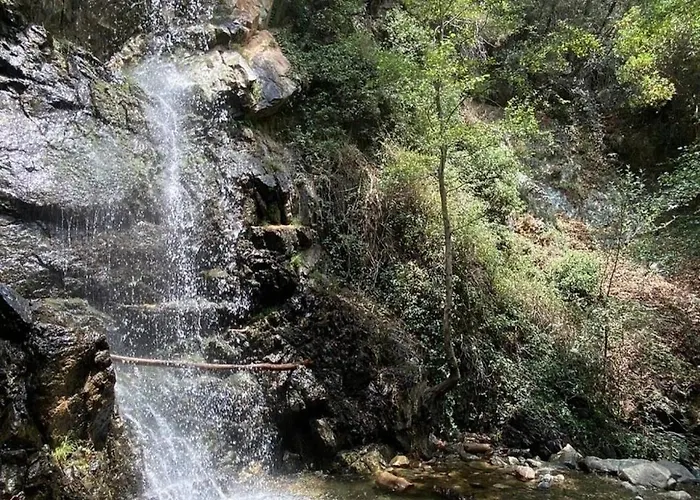 Anastasi Tiny Homes- Mountain Views, Garden & Terrace, Pet Friendly *