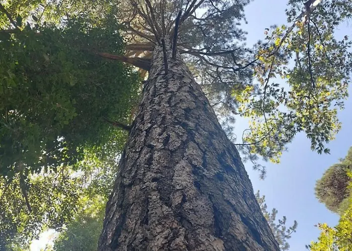 Anastasi Tiny Homes- Mountain Views, Garden & Terrace, Pet Friendly Alojamento de Turismo Selvagem Kakopetria