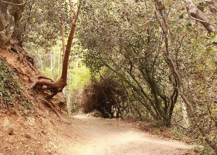 Anastasi Tiny Homes- Mountain Views, Garden & Terrace, Pet Friendly