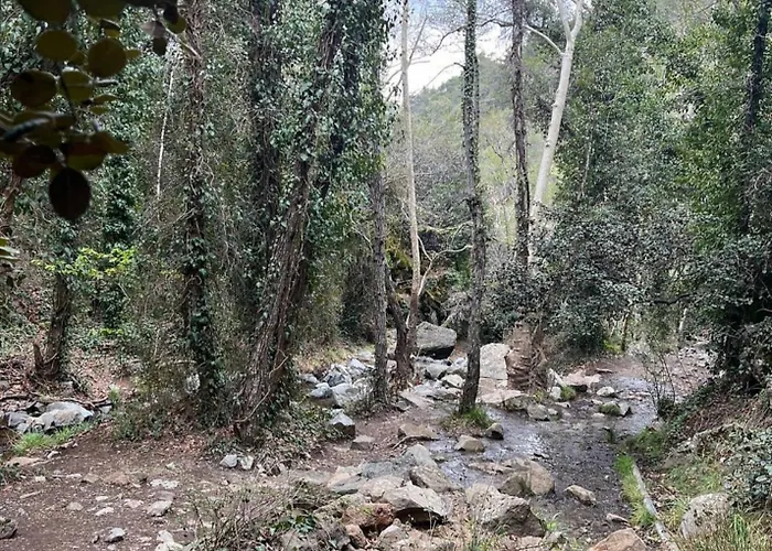 Alojamento de Turismo Selvagem Anastasi Tiny Homes- Mountain Views, Garden & Terrace, Pet Friendly