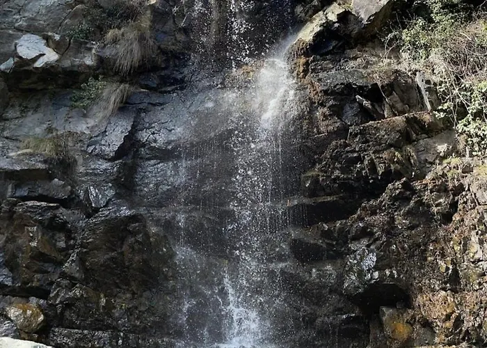 Lodge Anastasi Tiny Homes- Mountain Views, Garden & Terrace, Pet Friendly Kakopetria