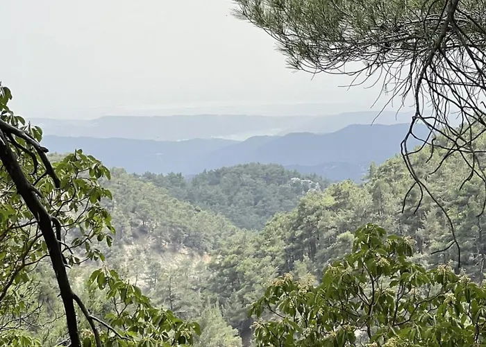 Anastasi Tiny Homes- Mountain Views, Garden & Terrace, Pet Friendly * Kakopetria