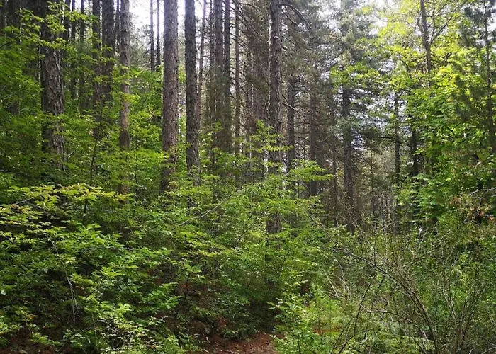 Anastasi Tiny Homes- Mountain Views, Garden & Terrace, Pet Friendly Kakopetria