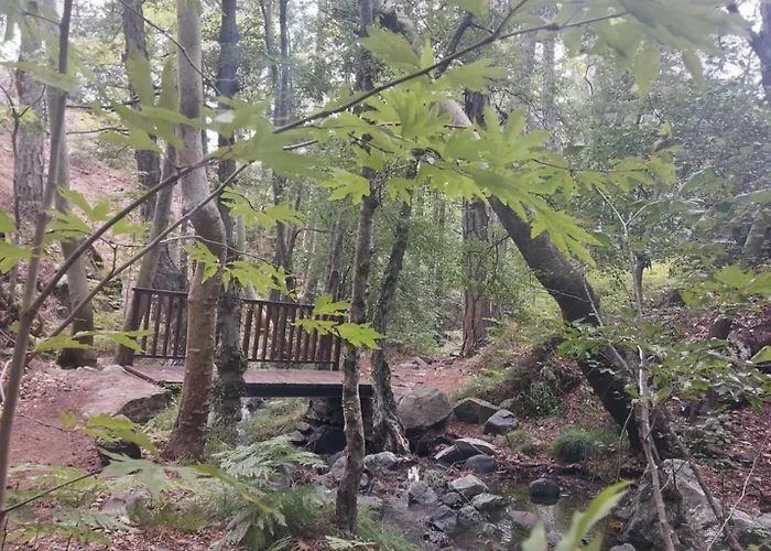 Anastasi Tiny Homes- Mountain Views, Garden & Terrace, Pet Friendly * Kakopetria