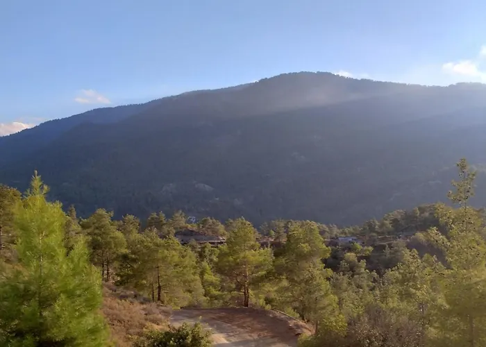 Anastasi Tiny Homes- Mountain Views, Garden & Terrace, Pet Friendly Alojamento de Turismo Selvagem