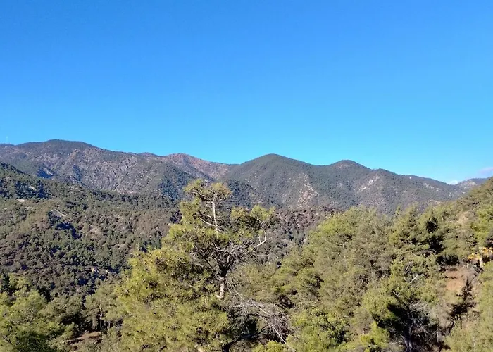 Lodge Anastasi Tiny Homes- Mountain Views, Garden & Terrace, Pet Friendly *