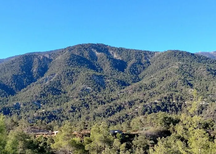 Anastasi Tiny Homes- Mountain Views, Garden & Terrace, Pet Friendly *